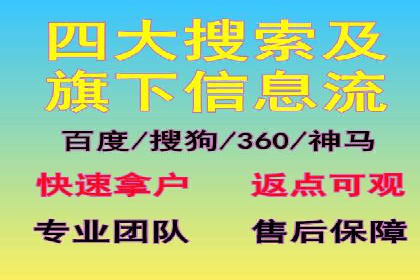 某电商平台的SEM推广策略及效果分析